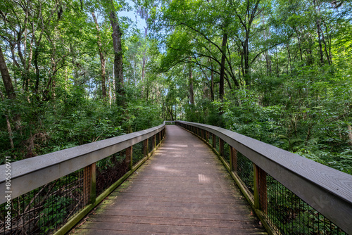 Boardwalk Trail at Silver Springs State Park  Florida