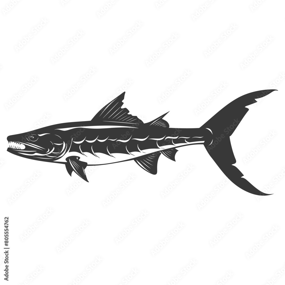 Fototapeta premium Silhouette Barracuda animal black color only