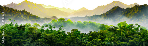 Misty rainforest with lush green vegetation and towering mountains cut out on transparent background photo