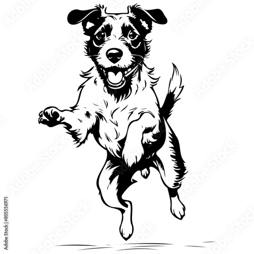 Black Boglen Terrier jump drawing  animal head  line art black realistic sketches painting