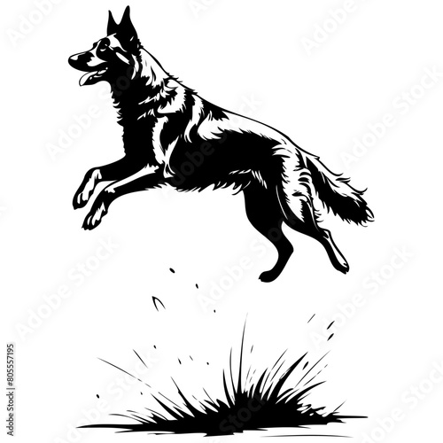 Engrave Belgian Shepherd jump drawing, black silhouette animal vector, isolated animal