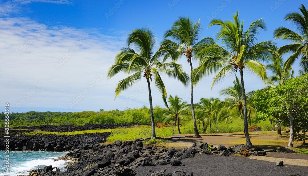 beautiful tropical palm trees with black lava rock in the foreground at pu uhonua o h naunau national historical park a place of refuge on the southwest coast of the big island of hawaii