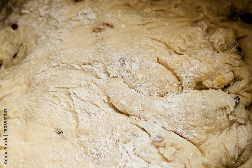Kneaded dough with raisins. Preparation for Easter cake. Close up view. Orthodox Easter in eastern Europe. 