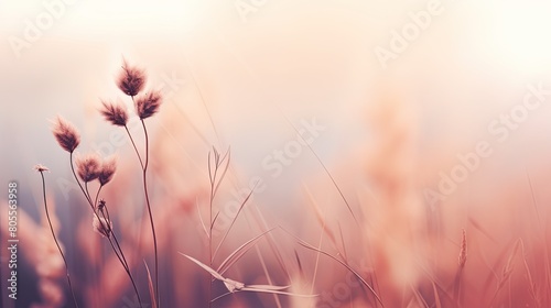 Softly focused image of delicate wild grasses and seed heads in a warm, sunlit field with a hazy pink and orange background.
