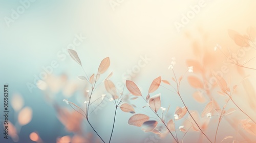 Softly focused image of delicate wild grasses and seed heads in a warm, sunlit field with a hazy pink and orange background.