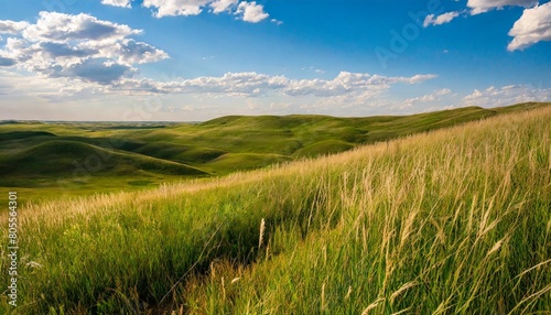 grass midwest tallgrass prairie illustration nature kansas landscape sky background hills grass midwest tallgrass prairie photo