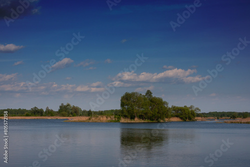 Spring landscape on the lake on a sunny day