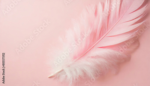 Top view photo of light pink feathers on isolated pastel pink background with copyspace