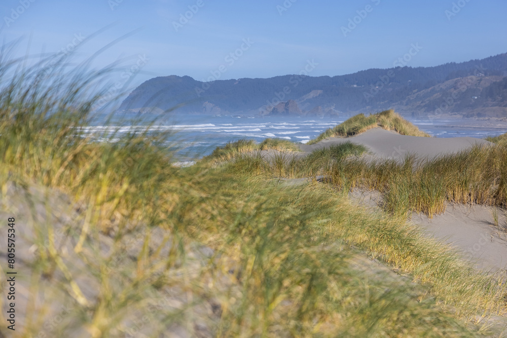 A beach with a grassy hillside and a blue sky. The grass is tall and the beach is sandy