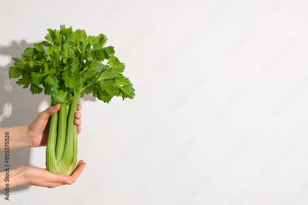 Female hands with fresh green celery bunch on white background Female hands with fresh green celery bunch on white background