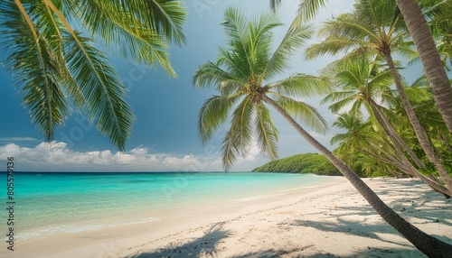 a beautiful exotic beach with palm trees white sand and blue