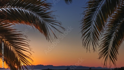 palm tree leaves against gradient sunset sky tropical nature background © Pauline