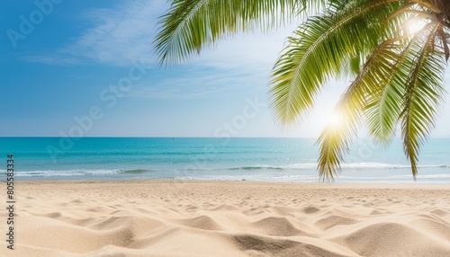 abstract seascape with palm tree tropical beach background with light of calm sea and sky summertime vacation background concept © Pauline