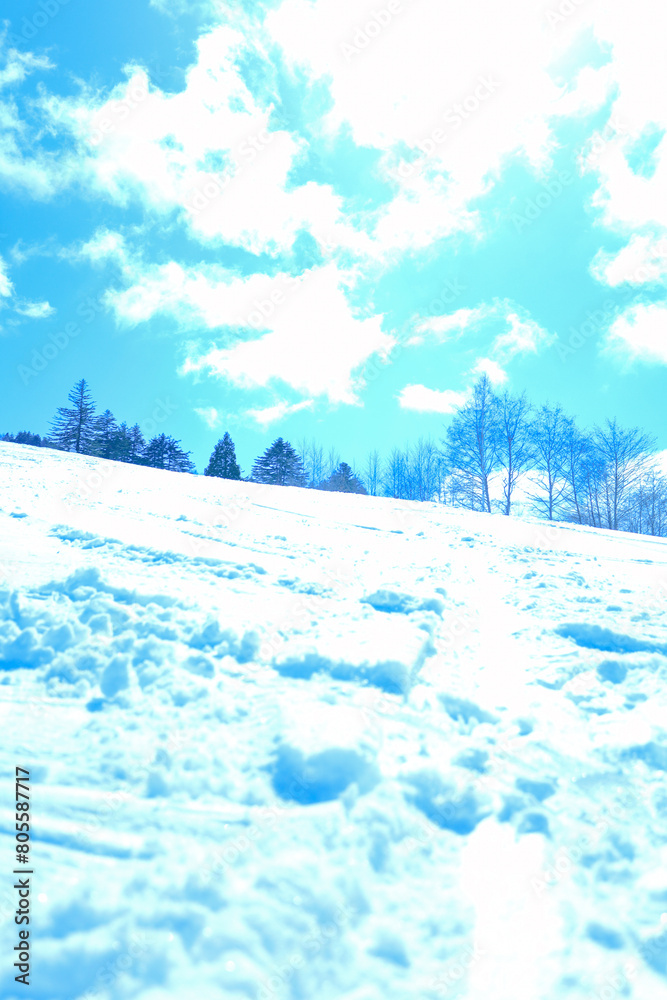青空と新雪のゲレンデ
