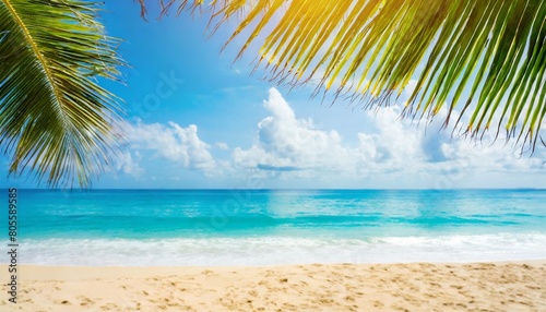 beautiful tropical blurred beach background with palm tree summer