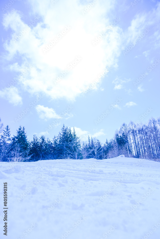 Obraz premium 青空と新雪のゲレンデ 