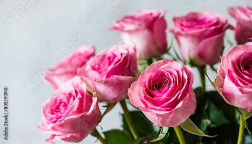bouquet of pink roses on a white background selective focus