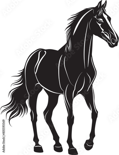 Elegant Horse Portrait Vector Illustration with Fine Details