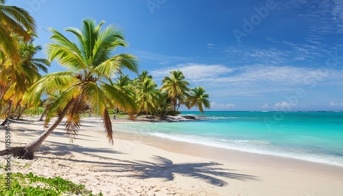 tropical carribbean beach