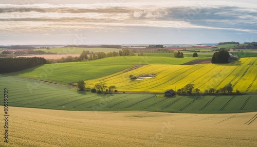 a scanian southern sweden landscape filled with fields of green gold and yellow taken in billebjer lunds kommun sweden