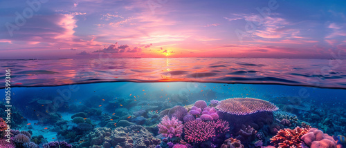 Vibrant colors of sunrise illuminate coral reef, creating a stunning and colorful underwater landscape.