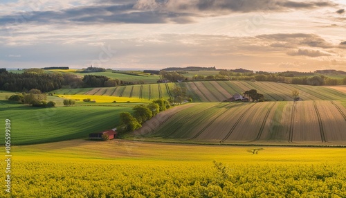 a scanian southern sweden landscape filled with fields of green gold and yellow taken in billebjer lunds kommun sweden