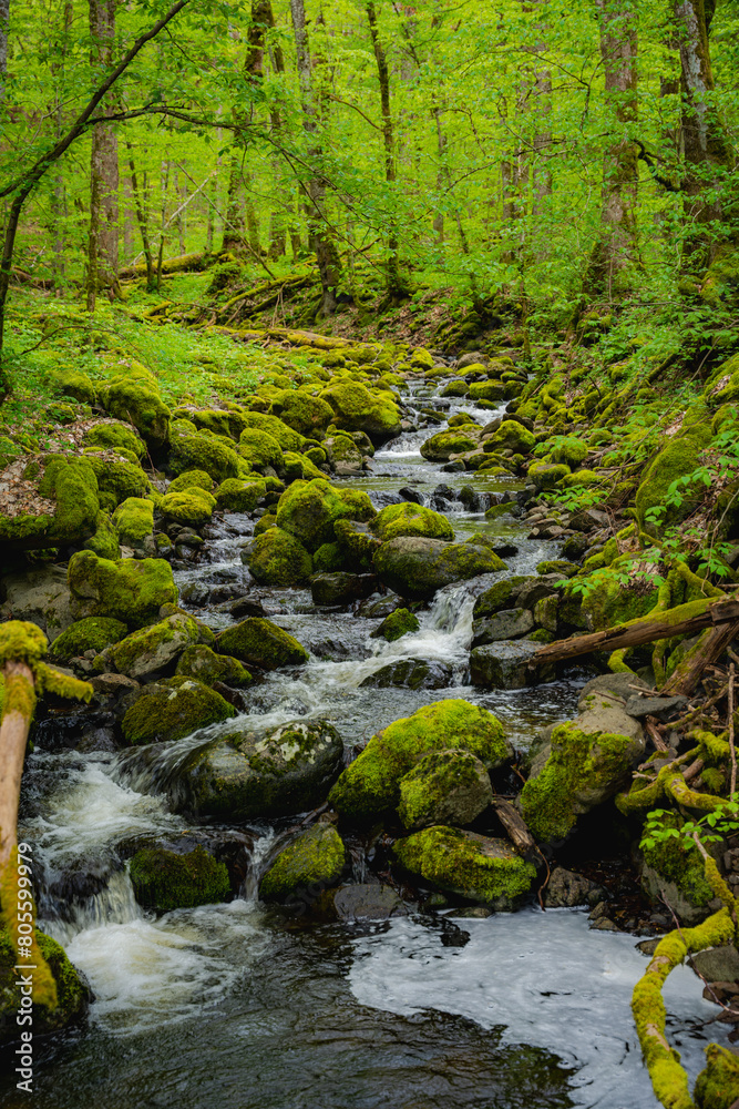 Obraz premium river, creek, forest stream, moss, rocks, flowing, water, wallpaper