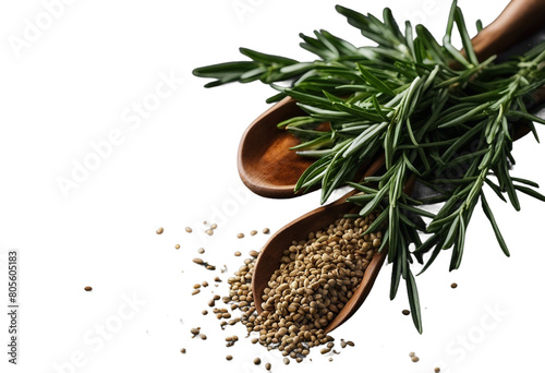 Rosemary herbs and spices top view isolated on transparent background