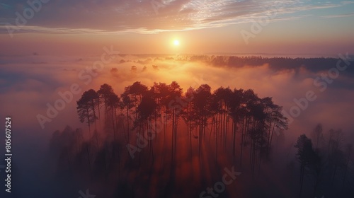 Foggy Sunrise Over Forest With Trees