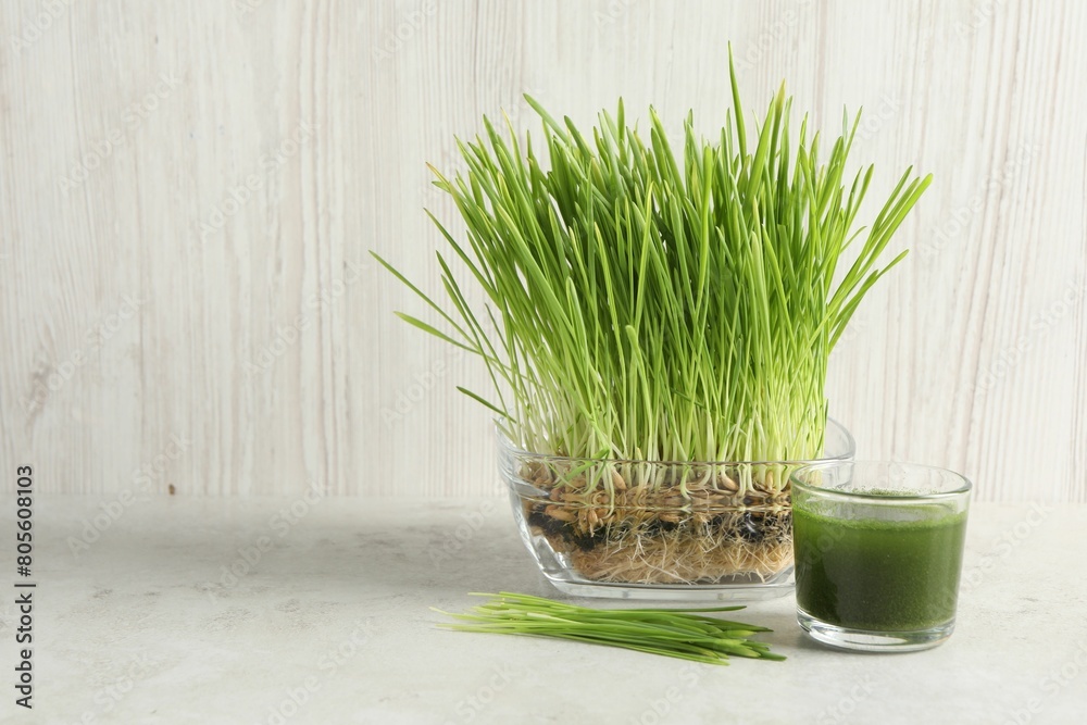 Wheat grass drink in glass and fresh sprouts on light table, space for text Wheat grass drink in glass and fresh sprouts on light table, space for text