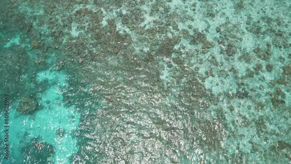 maldives ocean surface log footage
