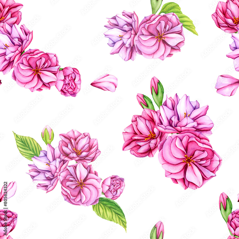 Sakura flowers. Pink cherry blossom flowers. Seamless Pattern with Japanese flowers in spring. Watercolor botanical illustration with buds, petals and leaves for your designs, wallpapers, clothing