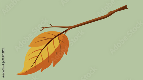 A withering autumn leaf detached from its branch captures the Stoic concept of detachment and letting go of what is beyond our control.. Vector illustration