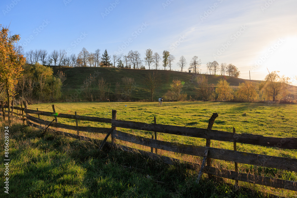 A fence separates a field from a road