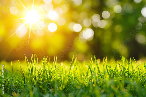 abstract spring background with fresh grass on sunrise or sunset. copy space. High quality photo