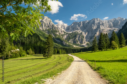 Idyllic green valley with Kamnik-Savinja Alps at background photo