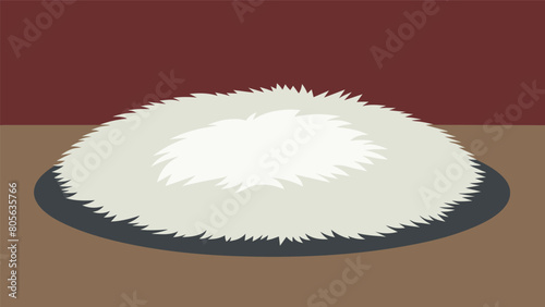 A white rug covers the floor inviting you to sink your feet into its plush softness..