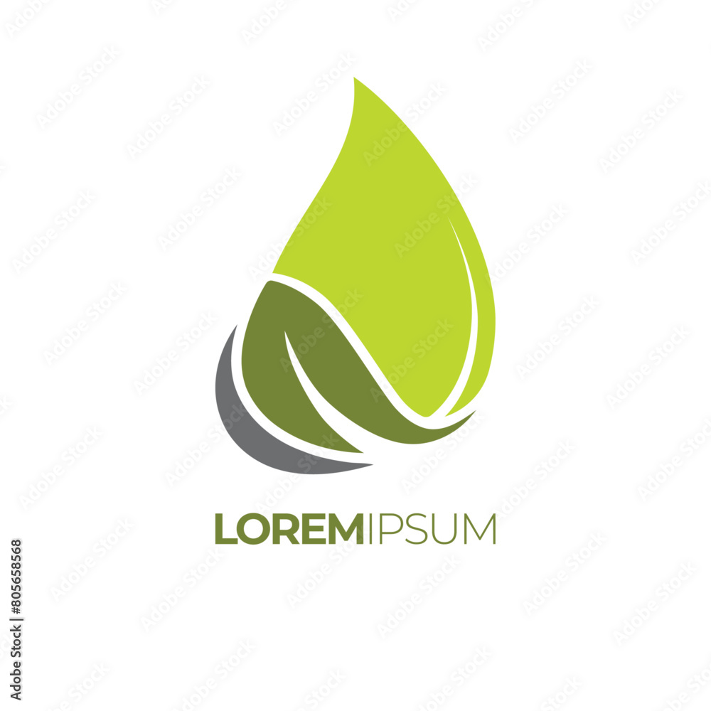Herbal Organic Oil Frsh Eco Brand Logo Design Emblem Logotype Herbal Organic Oil Frsh Eco Brand Logo Design Emblem Logotype