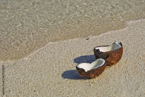 Obraz na płótnie Opened coconut on the sandy beach of tropical island w salonie