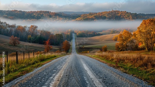 A road with a foggy mist in the background. The road is empty and the trees are orange