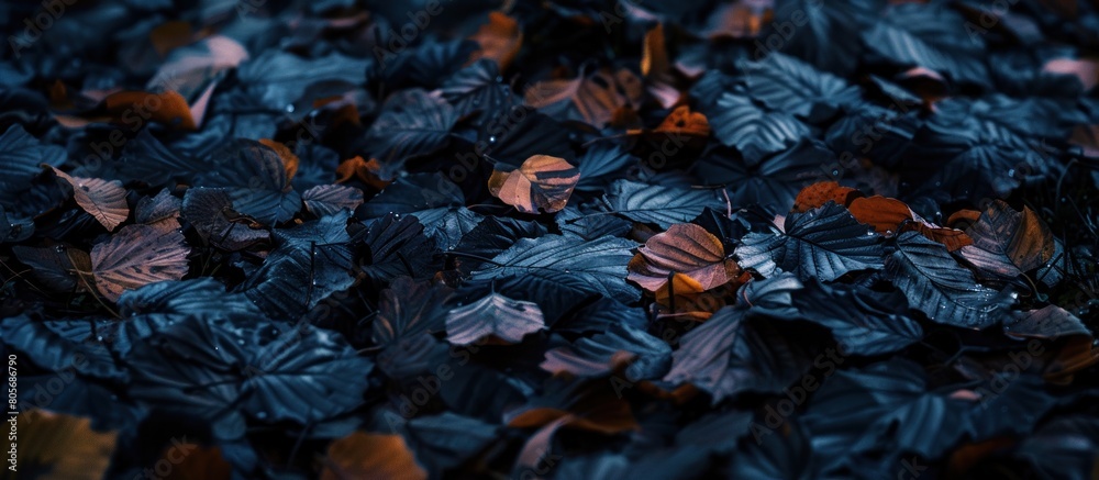 Texture background of black withered leaves falling in autumn