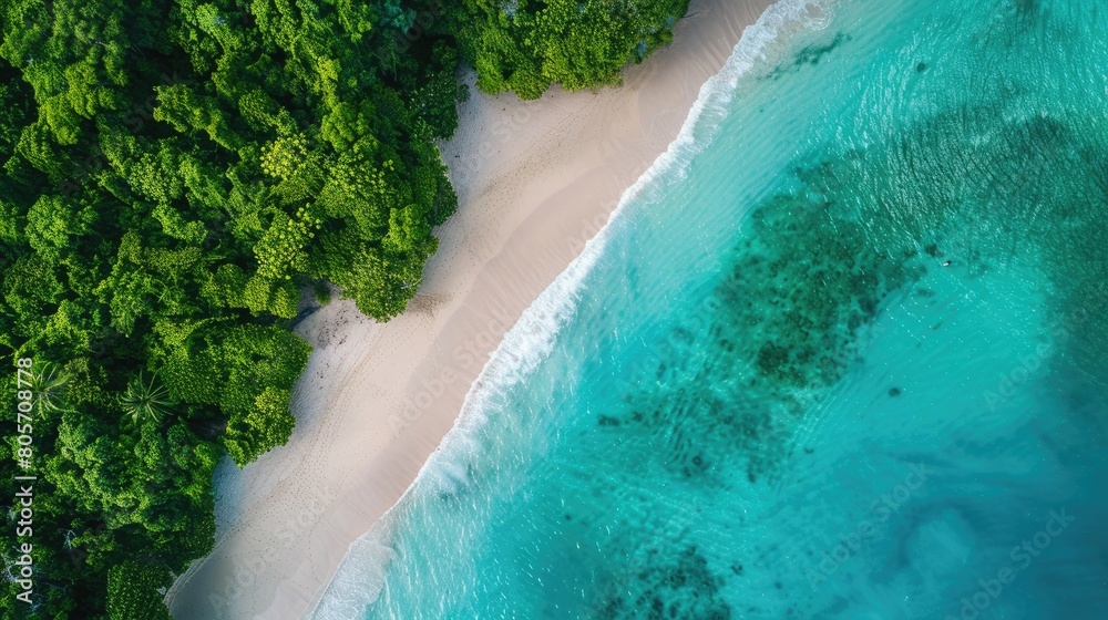 A stunning natural landscape featuring a beach lined with trees, surrounded by turquoise water. Perfect for a peaceful and relaxing travel destination AIG50