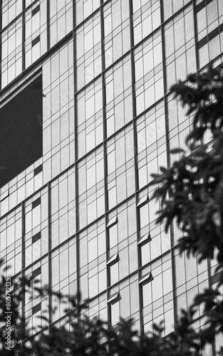 Modern building facade; Close-up of office building; black and white
