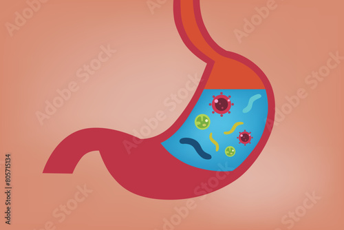 The digestive system is a network of organs that help you digest and absorb nutrition from your food. It includes your gastrointestinal (GI) tract and your biliary system. 
