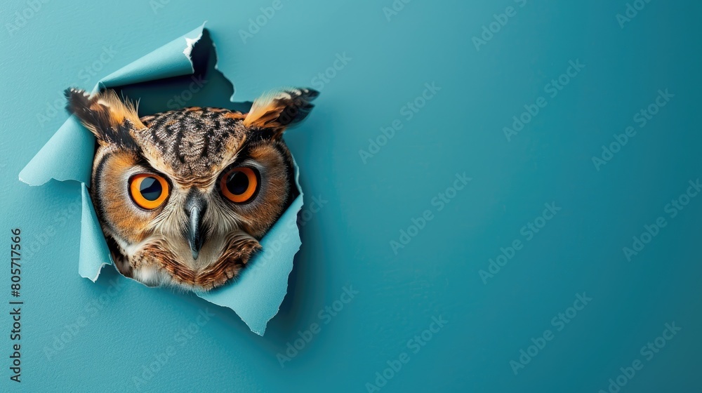 A humorous owl peers through a ripped hole in a contrast pastel color paper background, Ai Generated A humorous owl peers through a ripped hole in a contrast pastel color paper background, Ai Generated