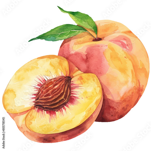 peach fruit watercolor illustration, generative AI photo