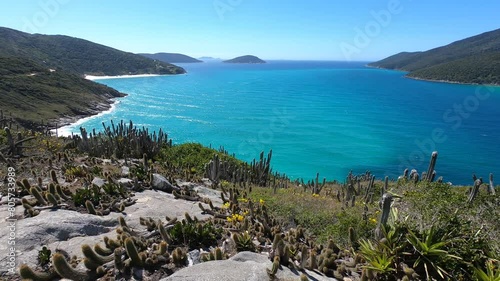 Vegetation on the coast of Prainhas do Pontal do Atalaia - Arraial do Cabo, Rio de Janeiro, Brazil photo