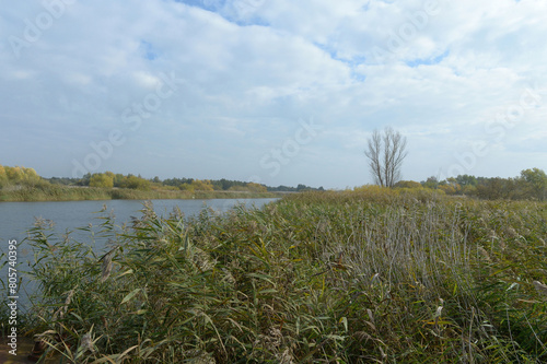 Nemonin River in the Kaliningrad region
