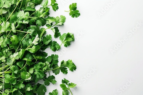 Lovely green herb bundle with coriander, a vegetable top off, and spice sprigs for seasoning set over a white setting soothing herbs and space, Generative AI.