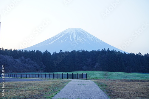 Mt. Fuji in the Morning from Asagiri Kogen or Plateau in Yamanashi, Japan - 日本 山梨県 富士宮市 朝霧高原 朝の富士山  photo